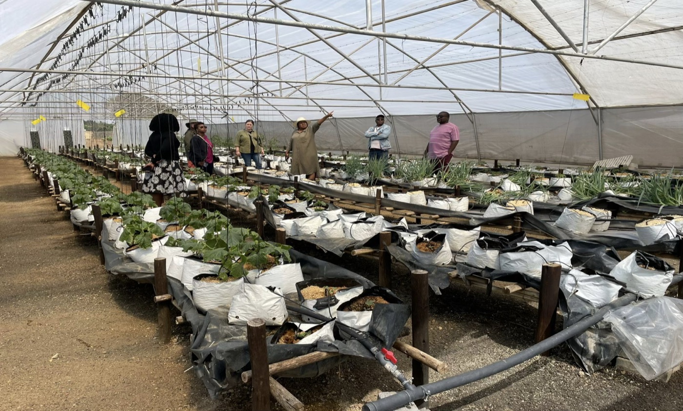 A group receiving practical grower training inside a hydroponic tunnel