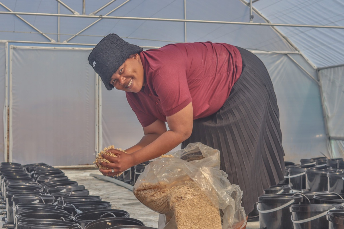 Grower preparing growing medium for hydroponic buckets