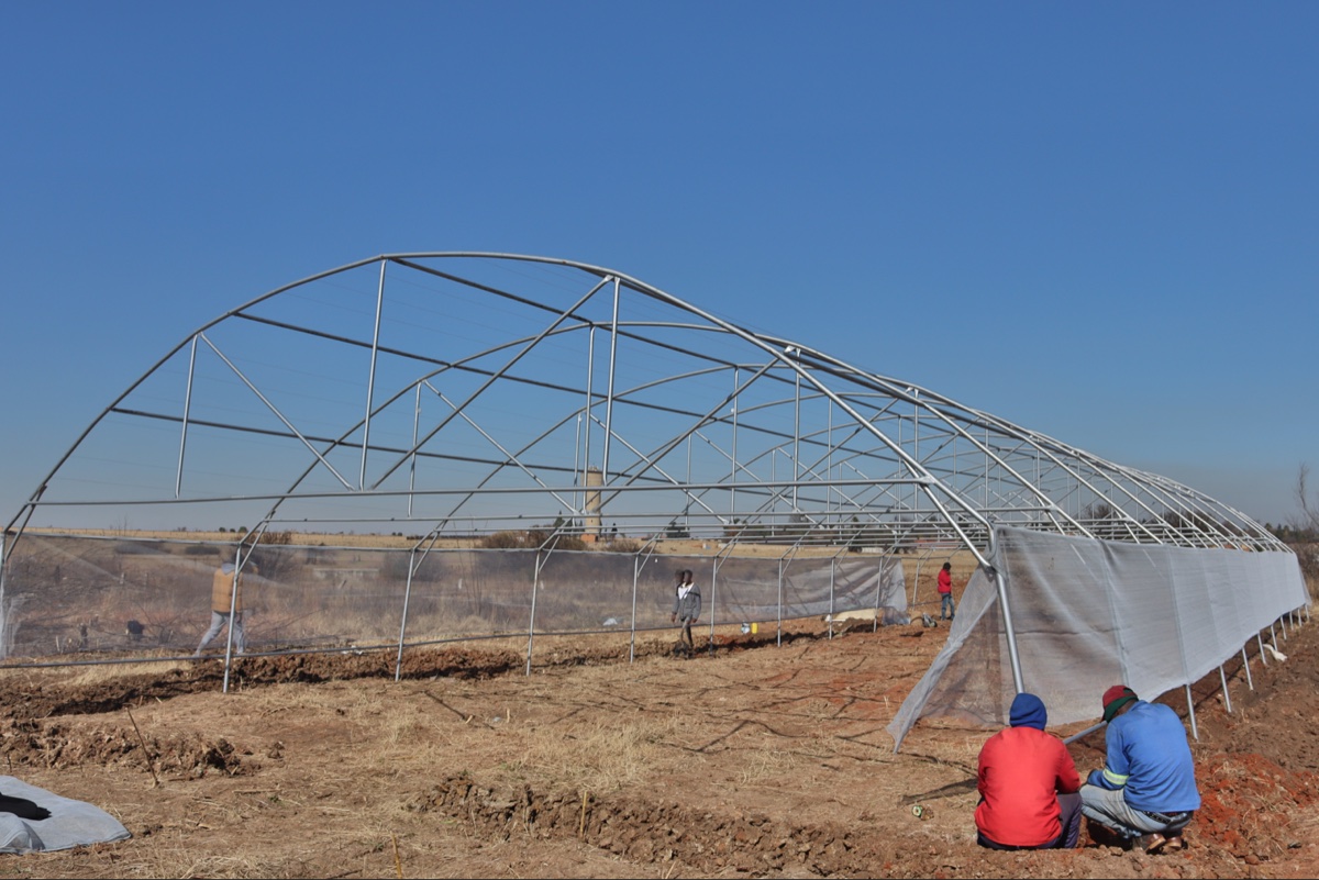 Hydroponic tunnel frame being installed